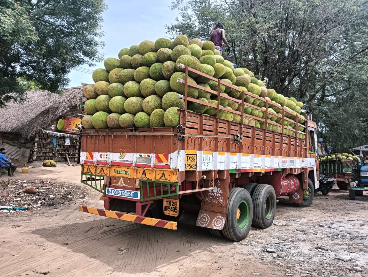 Whole Jackfruit